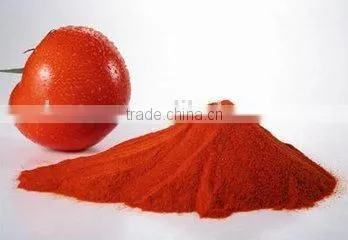 Belt vacuum powder continuous dryer for tomato powder