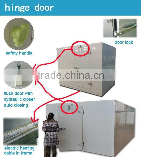 walk-in hinge cold room doors from Jinan China