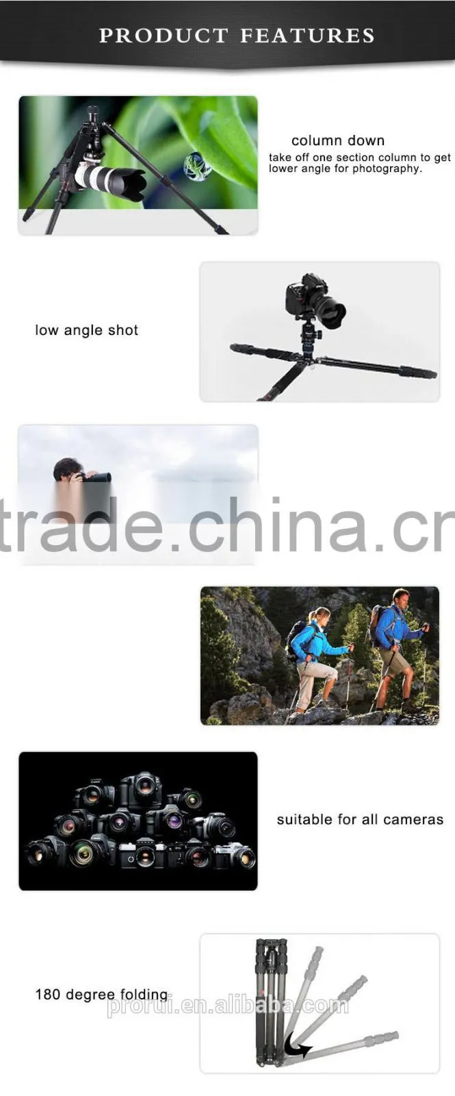 DSLR & Digital Camera Tripod applicable max tube lightweight digital accessories tripod with carbon fiber tube