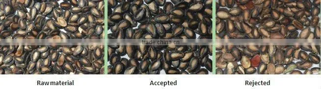 Angelon Watermelon Seed Color Sorting machine