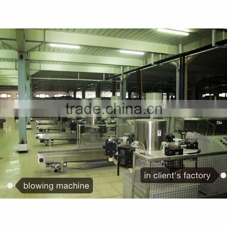 CP-50D Blow Moulding Machine