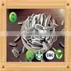 Sunflower Seeds for Birds small seed high oil content