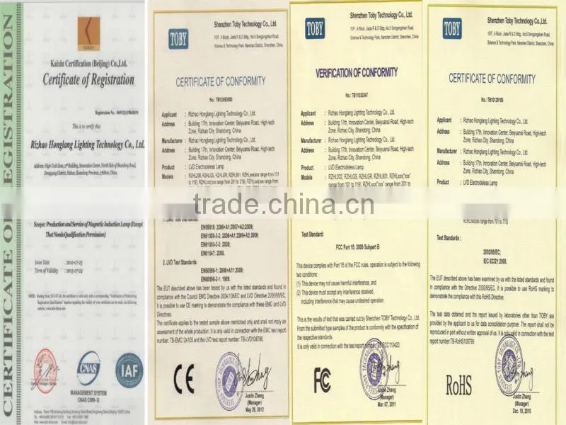 High efficiency explosion proof induction lamp