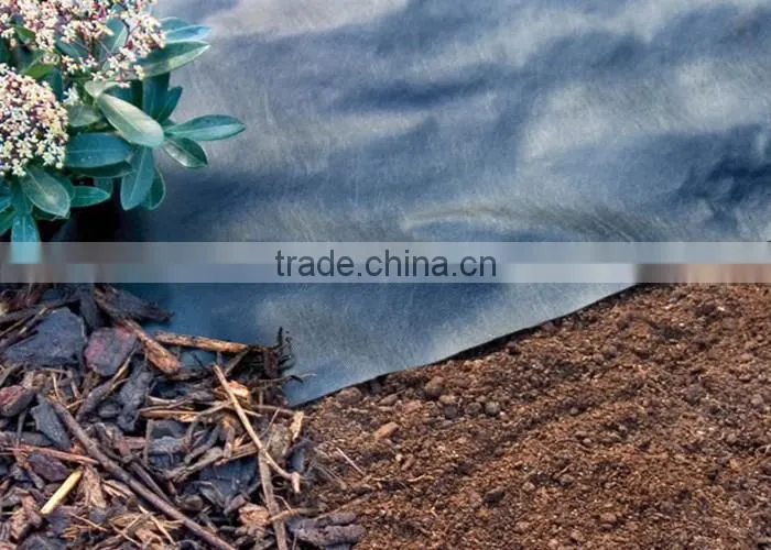 Agriculture PP Spunbond Non-woven/Nonwoven Fabric Weed Control