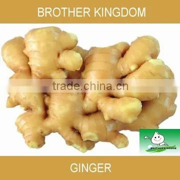 Fresh Ginger