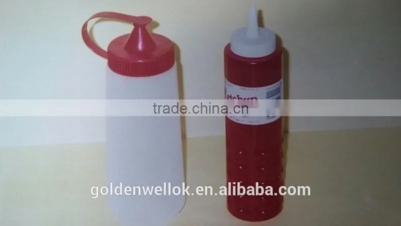 Squeeze Bottle With Nozzle 300ml/500ml hot sell in USA