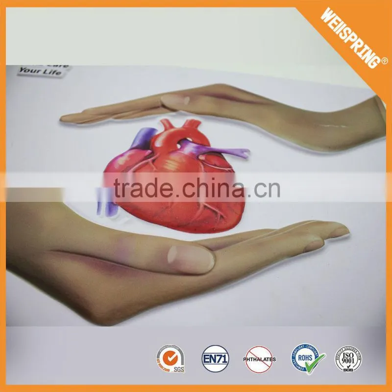 Big sale custom sizeeducational medical chart