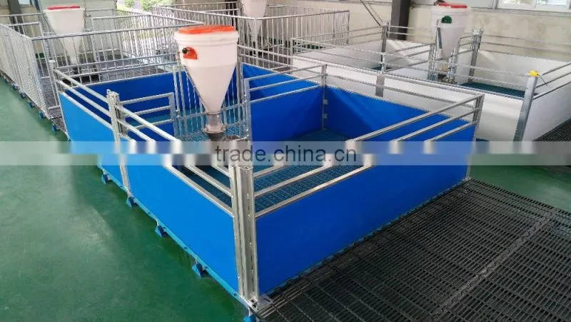 Pig weaner crates weaning stall