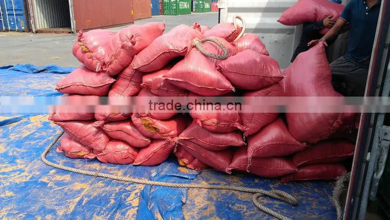 Loose Cocopeat_QQ:2598494113
