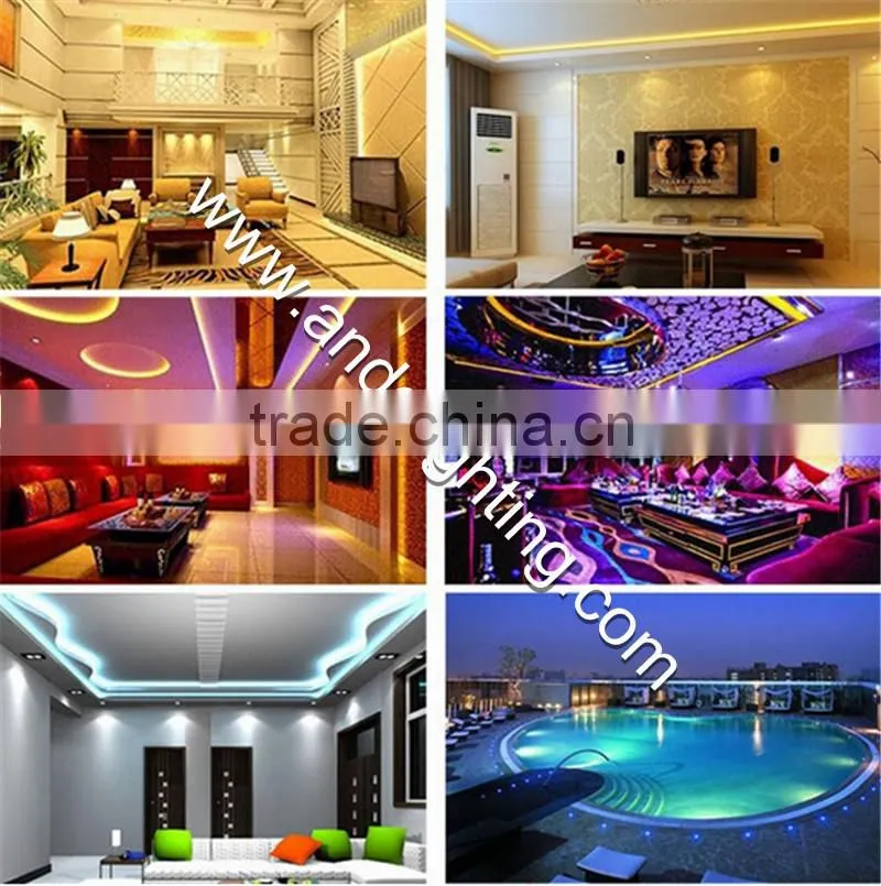 Flex LED Neon strip building outline lighting
