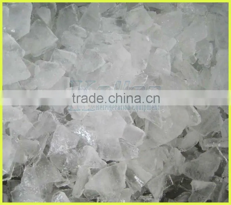 5000kg Ice Plate Maker for Seafood