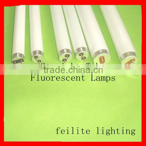 straight tube fluorescent lamps