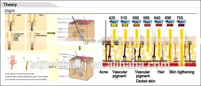 promotion big sale CE approved photon led skin rejuvenation equipment