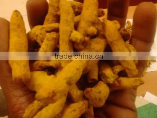 Fresh Turmeric / Dried Turmeric / Turmeric Finger
