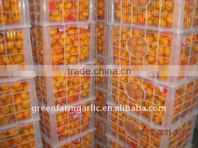 chinese sweet Mandarin orange in 2012
