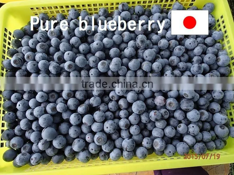 Pure Blueberry jam made in japan