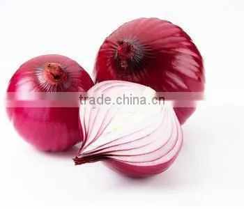2015 new crop nuisanceless organic fresh dehydrated spring onion