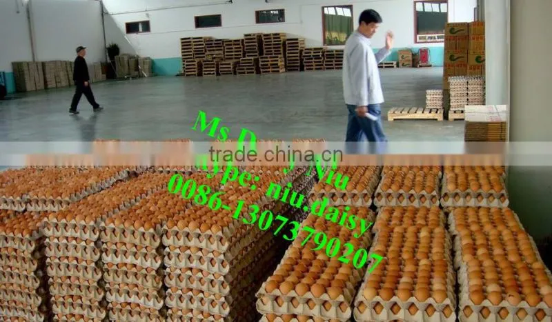 automatic egg packing machine/egg tray packaging machine/egg grading machine for packing