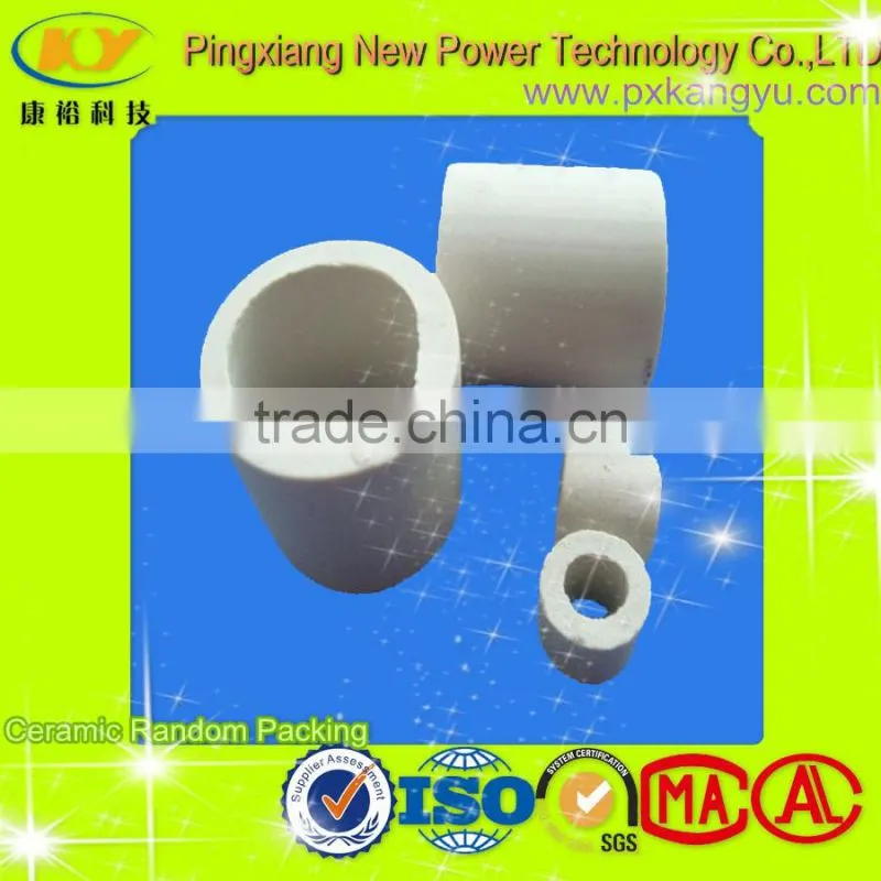 Raschig Ring Packing