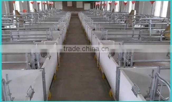 pigs equipment / pigs farm floor /piglet support beam