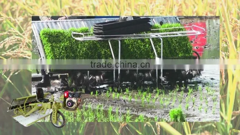 top quality rice transplanter