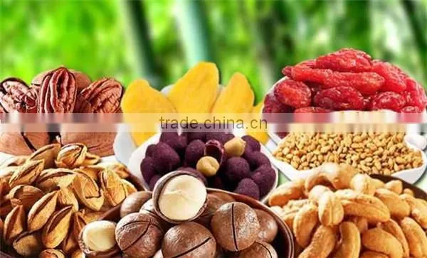 2016 Hot selling hot air mango drying dryer/mango slices dryer machine with good price