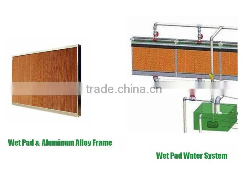 Experienced and Elegant Multi-Span Tunnel Green House
