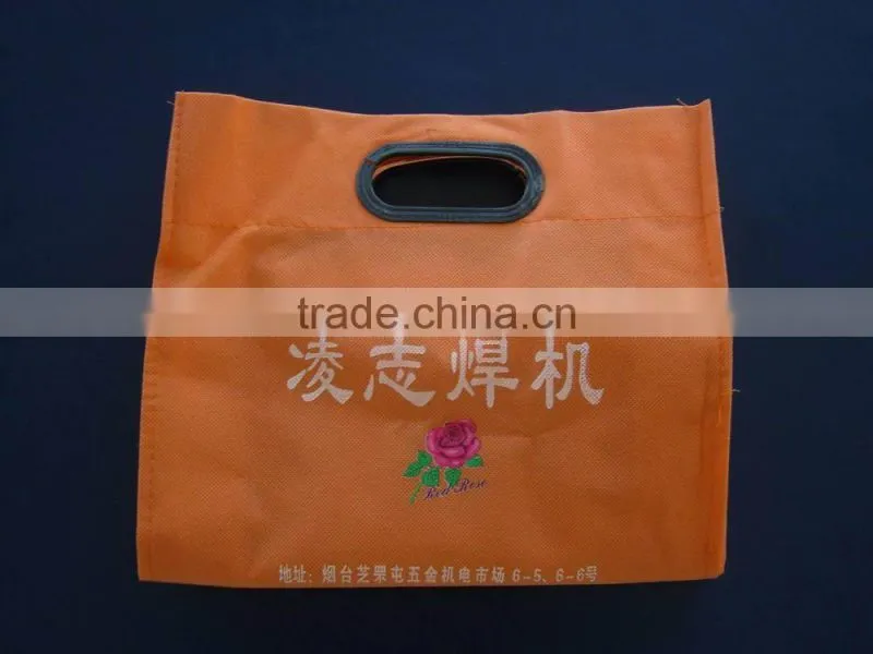 Designer PP Nonwoven Shopping Plastic Bag