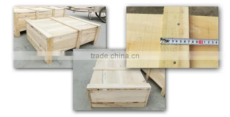 Importer Directory Plants for Large Planters VFP-N001