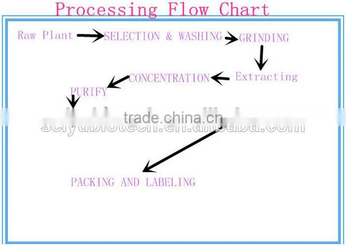 Korea Market of Seabuckthorn Powder Sea buckthorn Fruit Powder