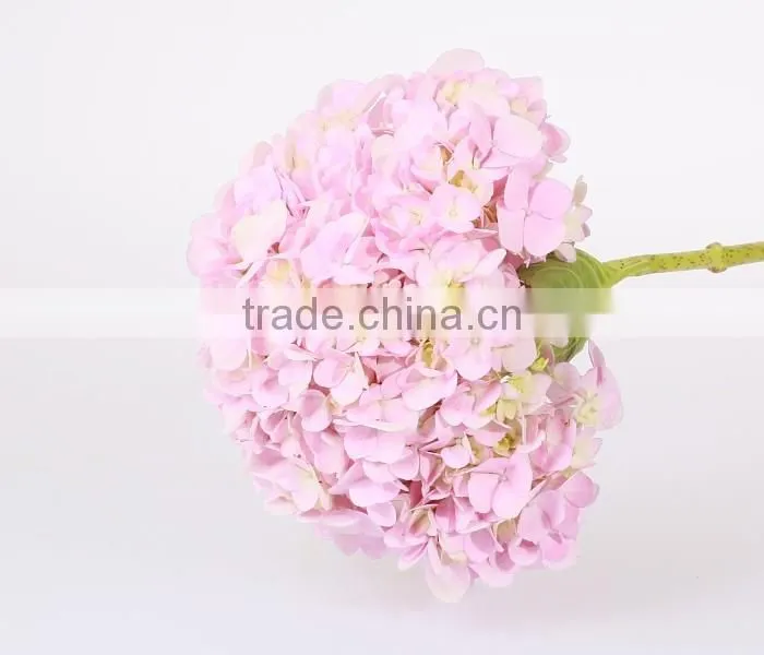 Wholesale Organic Fresh Cut Decorative Colorful Flowers Perfect For Mother's Day Hydrangea Flower