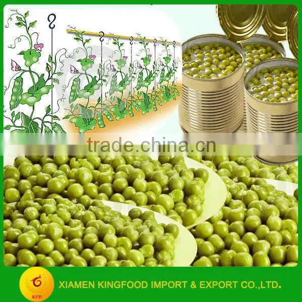 Best Canned Peas in Water DW 250G
