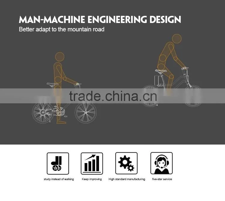 FJ-TDE07, new model electric motor bicycle china