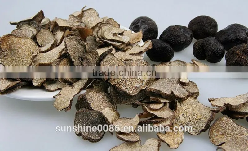 High Quality Black Truffle Mushrooms mushrooms