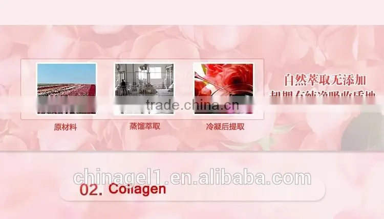 Rose Collagen Gel Facial Sleep Mask