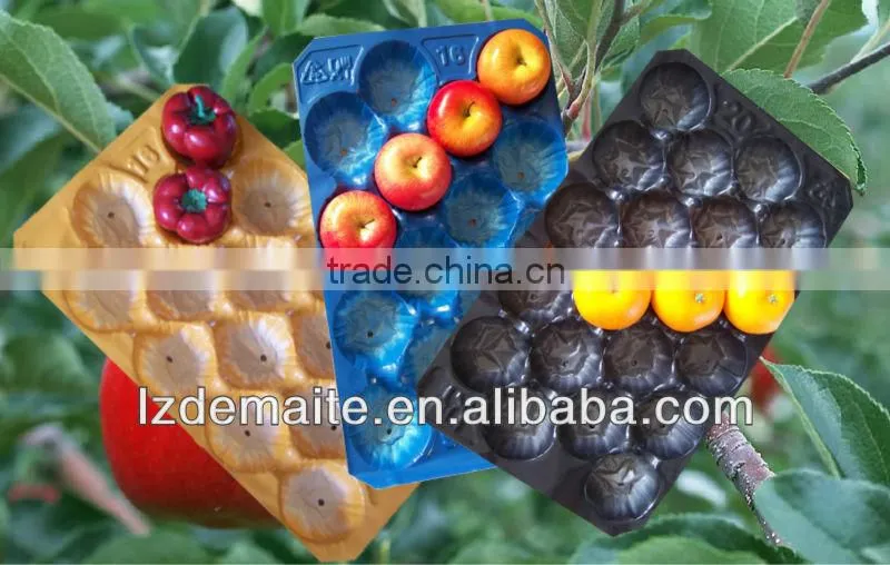Supermarket Fruit Trays Insert