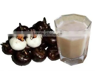 Industrial automatic chufa juice processing line