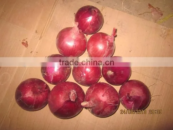 Fresh Red Onion