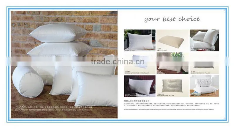 New arrival product wholesale cheap 2-4cm White Duck Fether Pillow