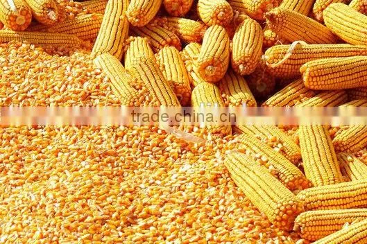 Maize peeling machine /corn sheller and thresher
