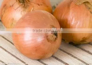 red onion mesh bags