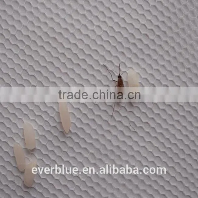 adhesive hook for window screen