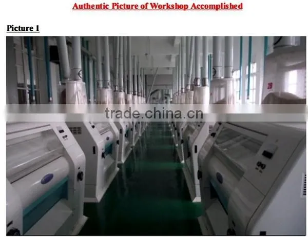 whole wheat flour mill