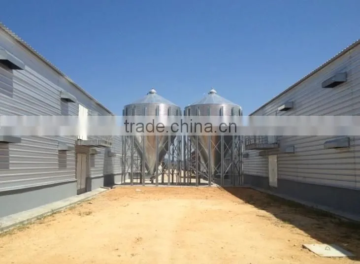 Turnkey project professional automatic poultry chicken farm house