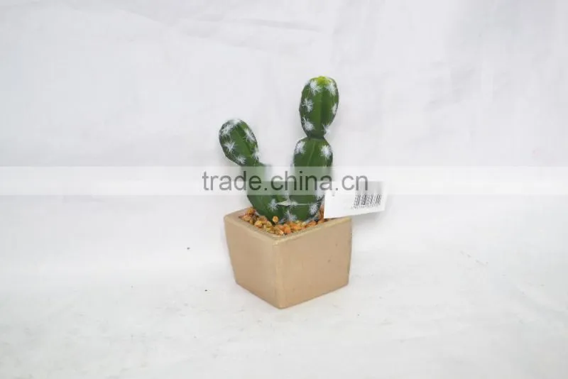 Mini Cactus with cement pot for decoration