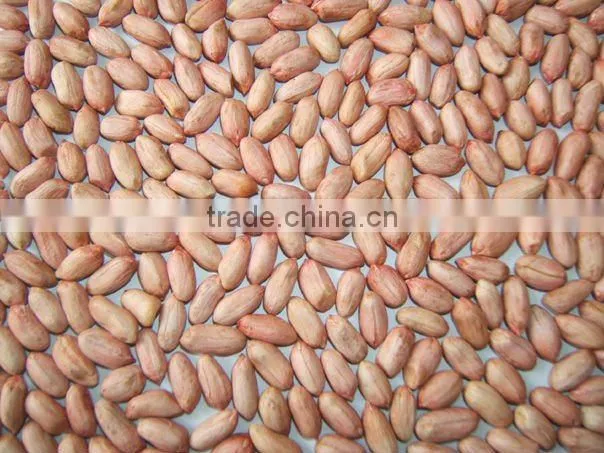 Blanched peanut kernels 2 x 12.5kgs vaccum packing