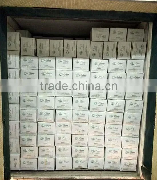 Frozen Fillets of Freshwater Fish Tilapia