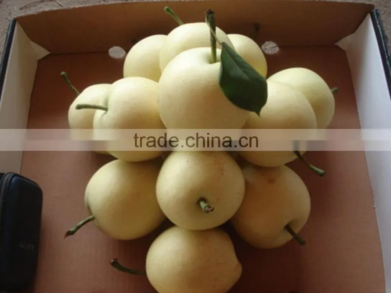 Nice difference specification of crown pear in china