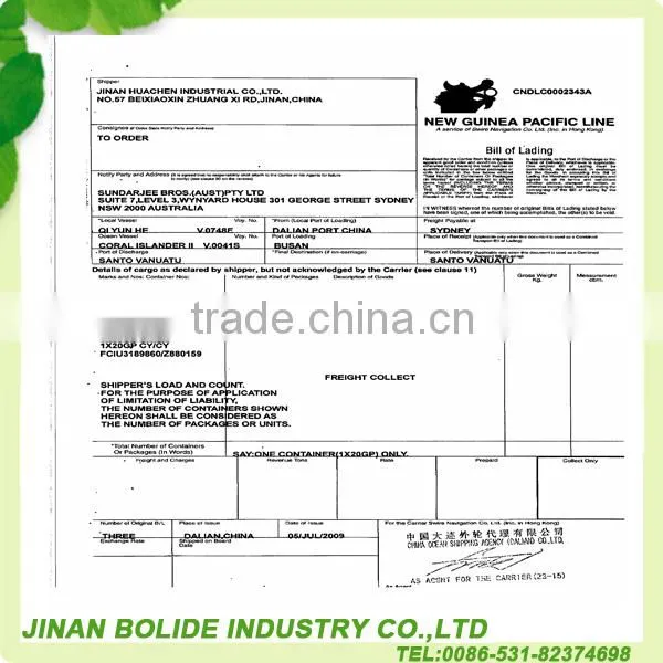 OEM 70g good quality canned tomato paste