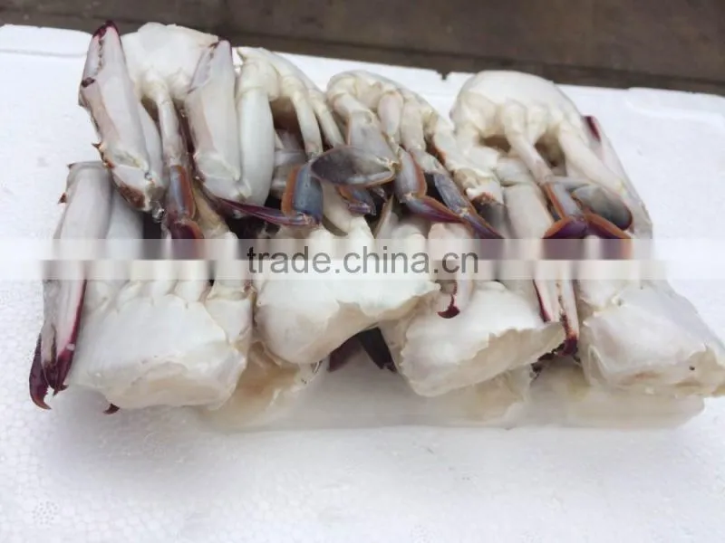Frozen Blue Swimming Crab for hot sale